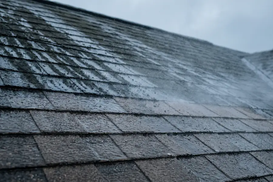 Black algae streaks lifting off an asphalt shingle roof during a soft wash